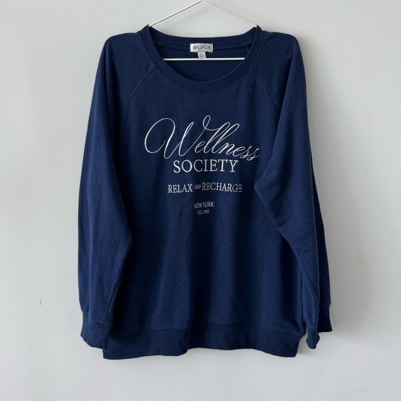 Wildfox Sweaters - WILDFOX ‘Wellness Society’ Keely Raglan Sweatshirt in Medieval Blue